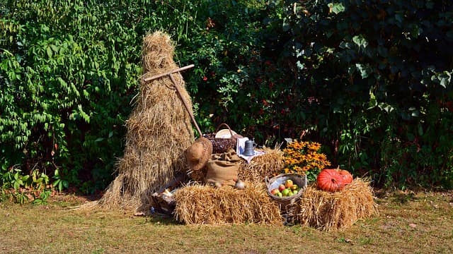 harvest